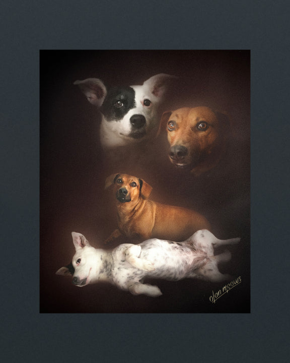 Classic Portrait - Print