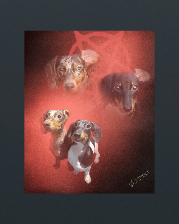 Flame Portrait - Print