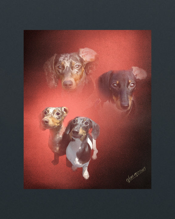 Flame Portrait - Print