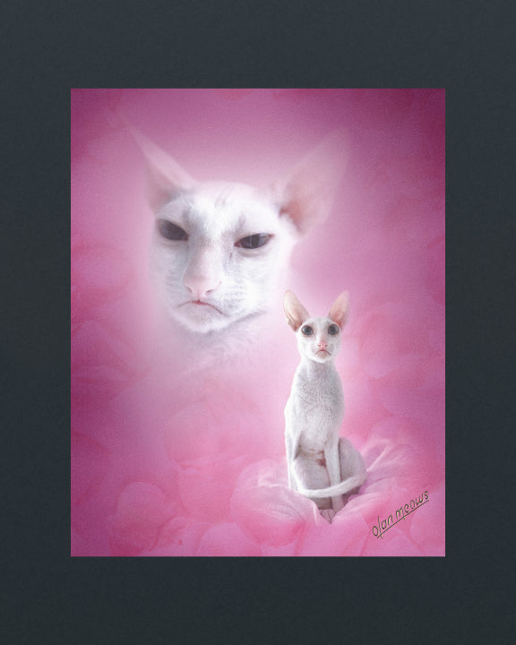 Pink Portrait - Print