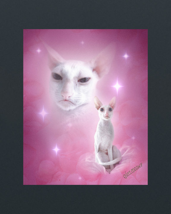 Pink Portrait - Print
