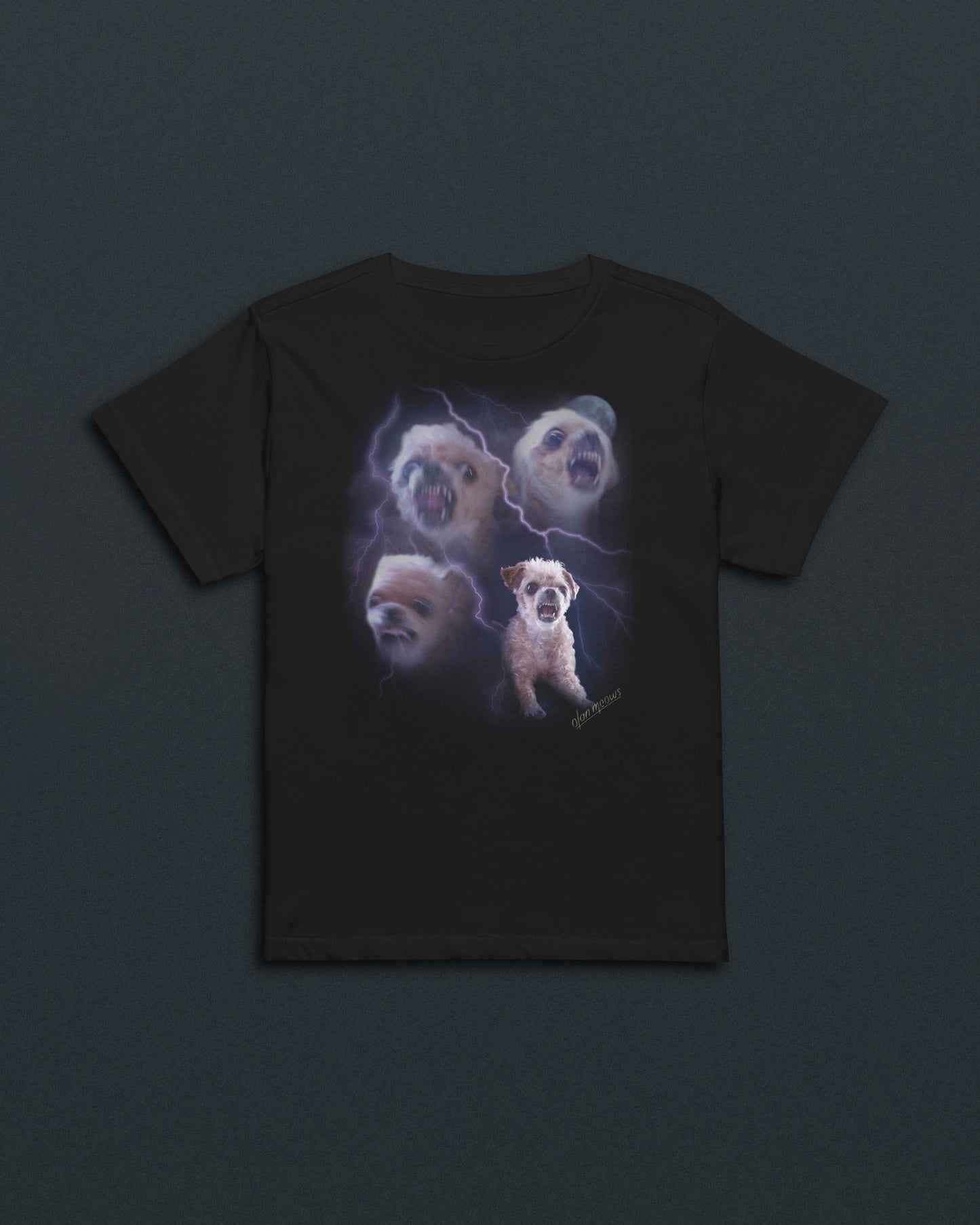 Spud Lightning Women's Baby Tee