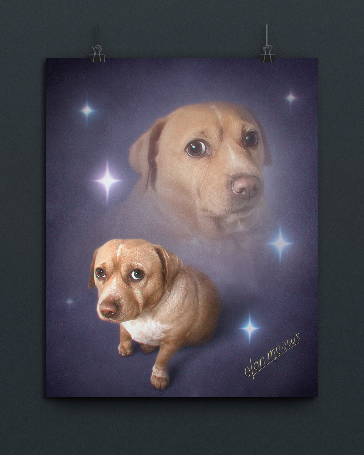 Cashew Sparkle Print
