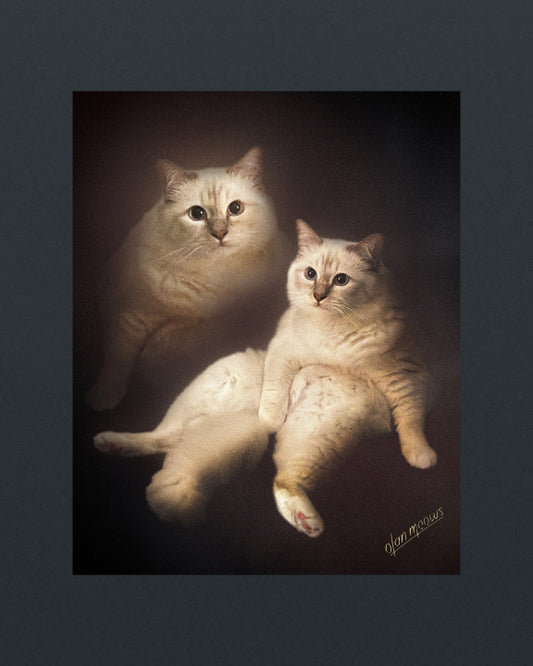 Classic Portrait - Print