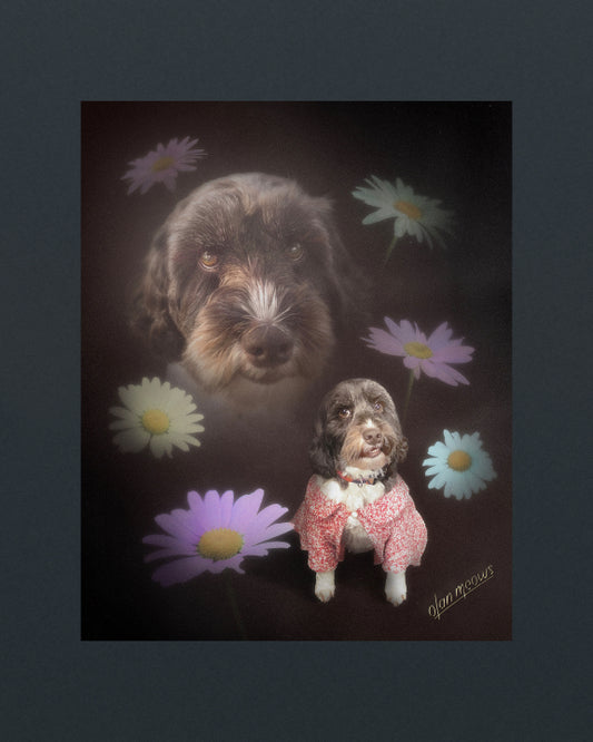 Create Your Own Background Portrait - Print