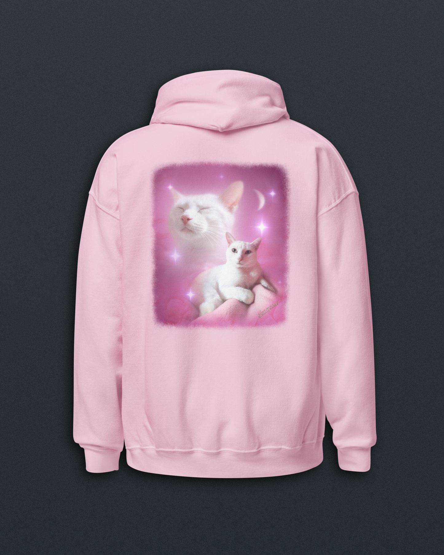 Custom Portrait Hoodie Add-On
