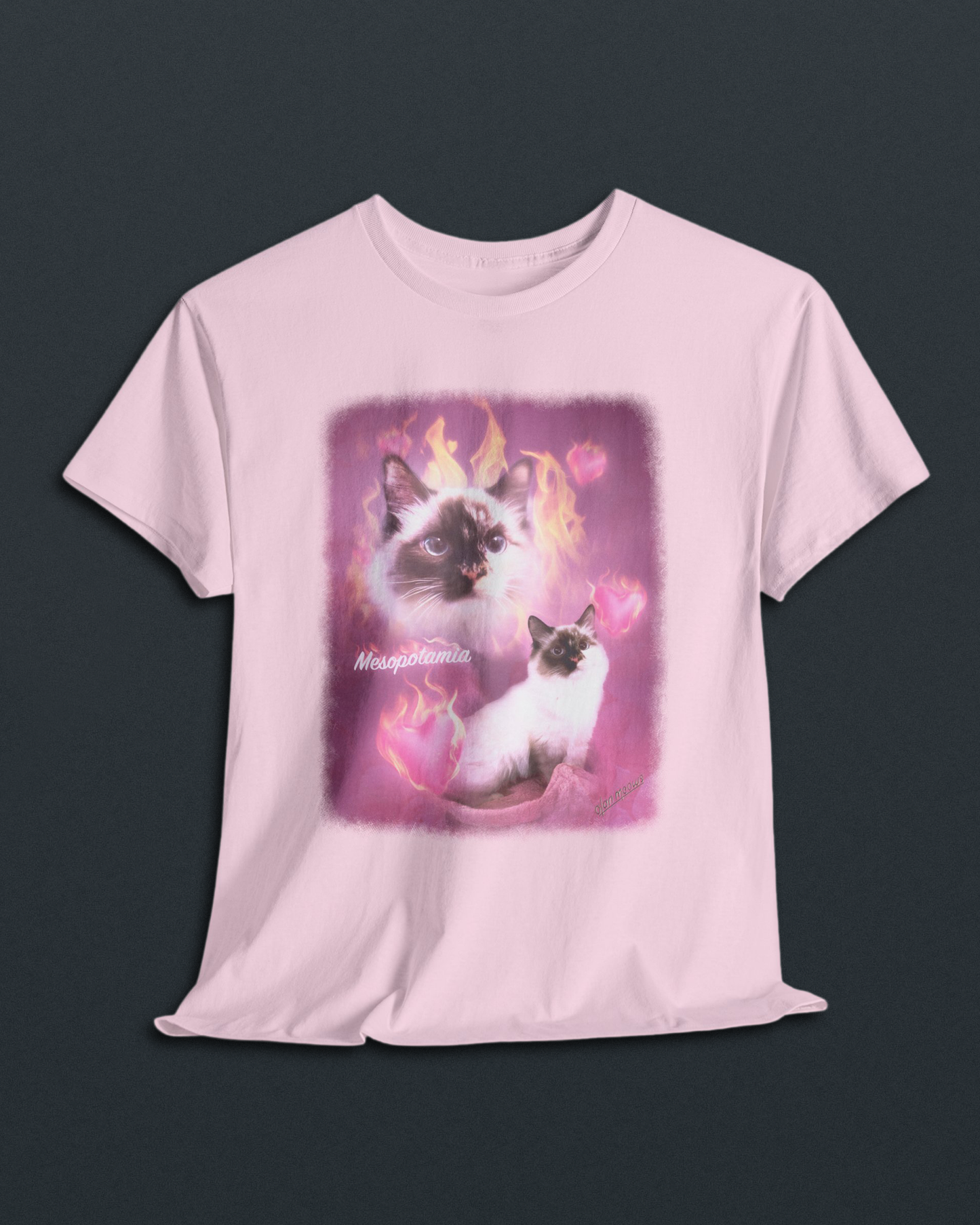 Custom Portrait T-Shirt Add-On