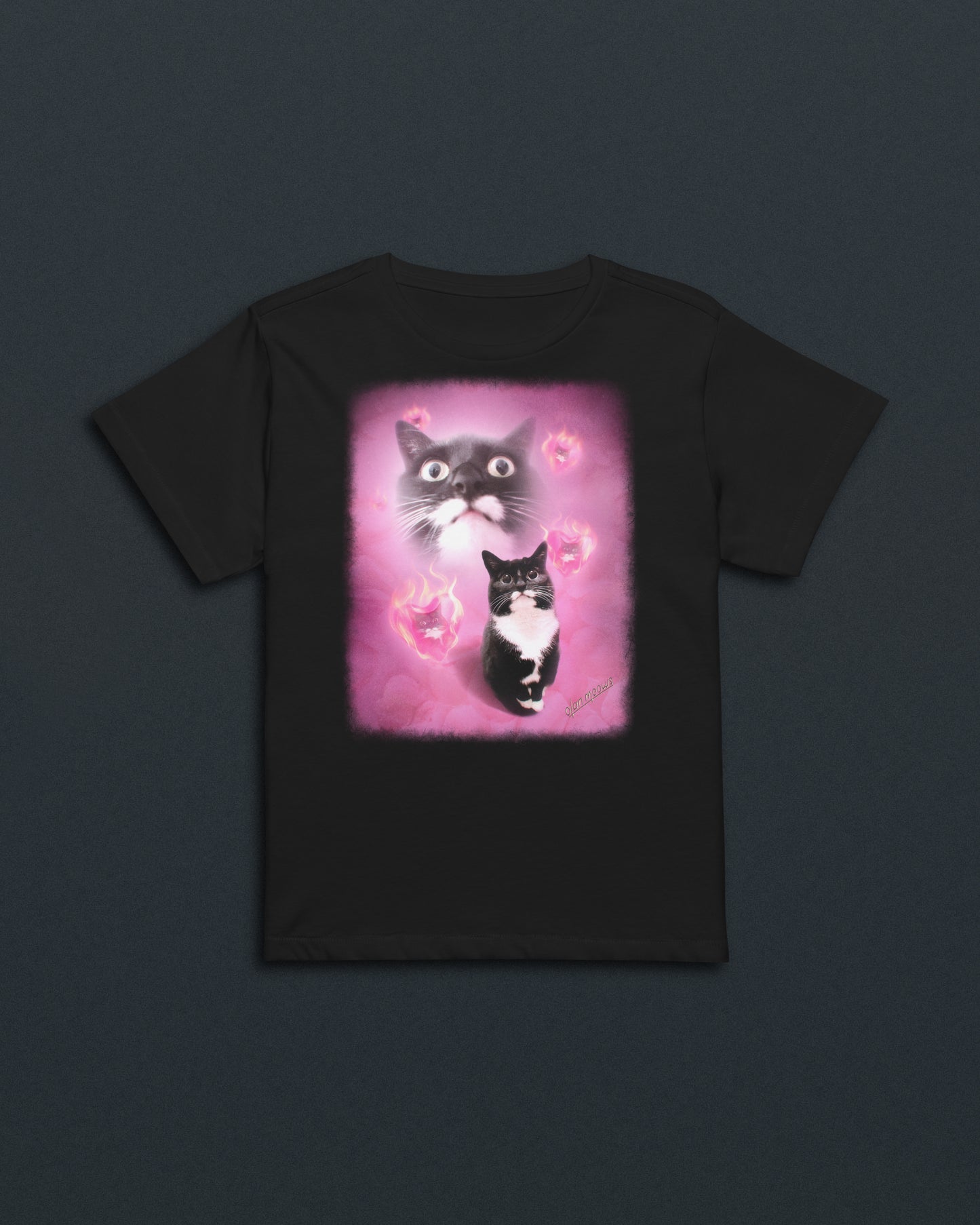 Jyn Heartburn Women's Baby Tee