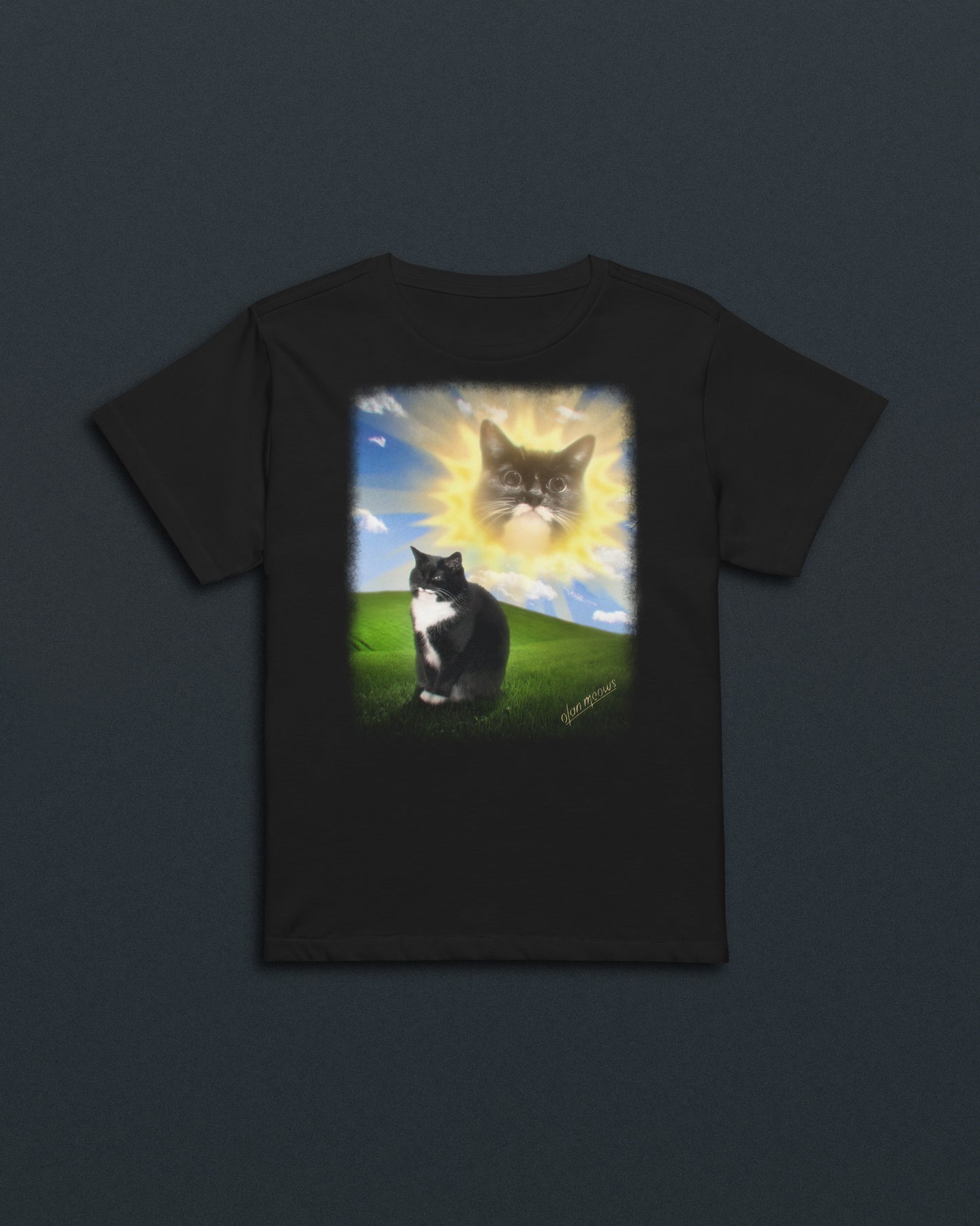 Jyn Vintage PC Women's Baby Tee