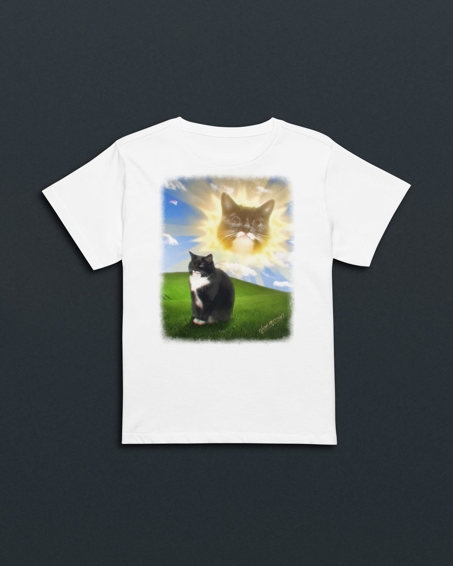 Jyn Vintage PC Women's Baby Tee