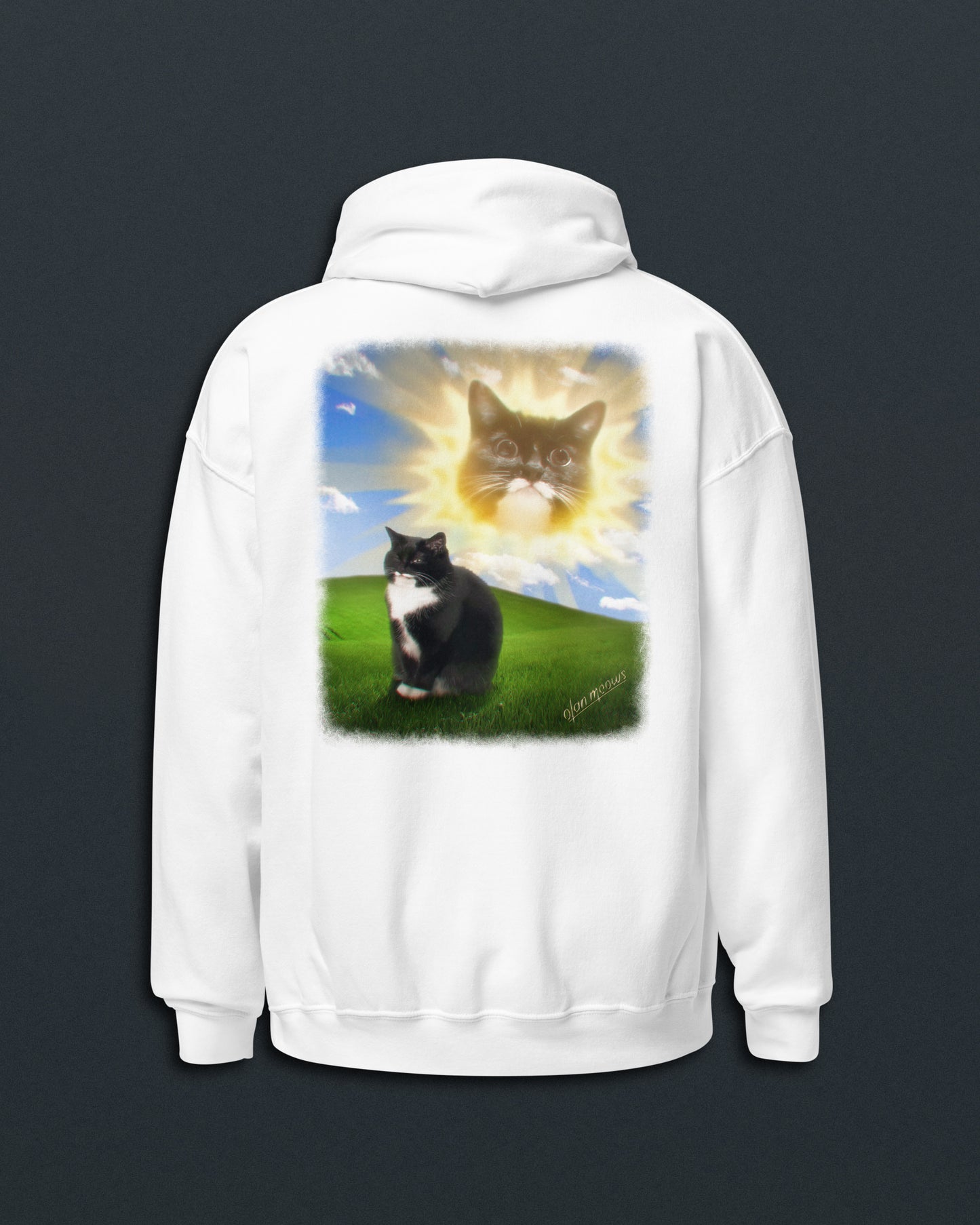 Jyn Vintage PC Hoodie