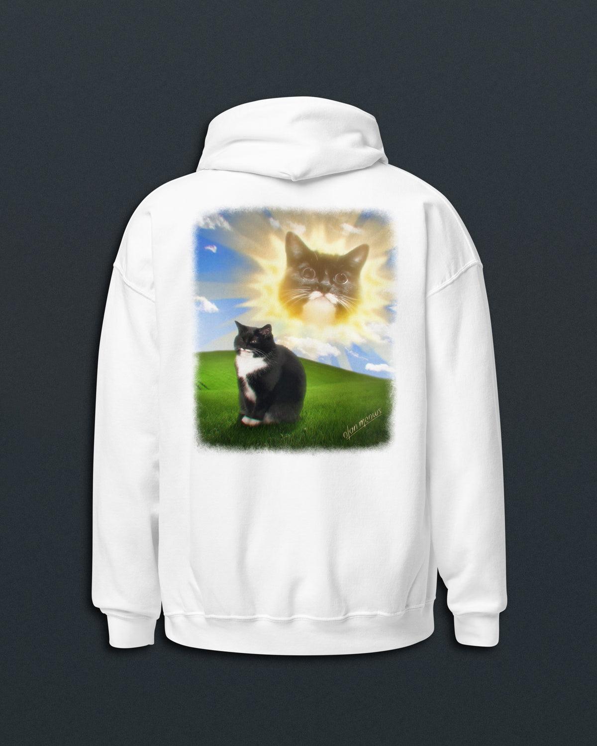 Jyn Vintage PC Hoodie