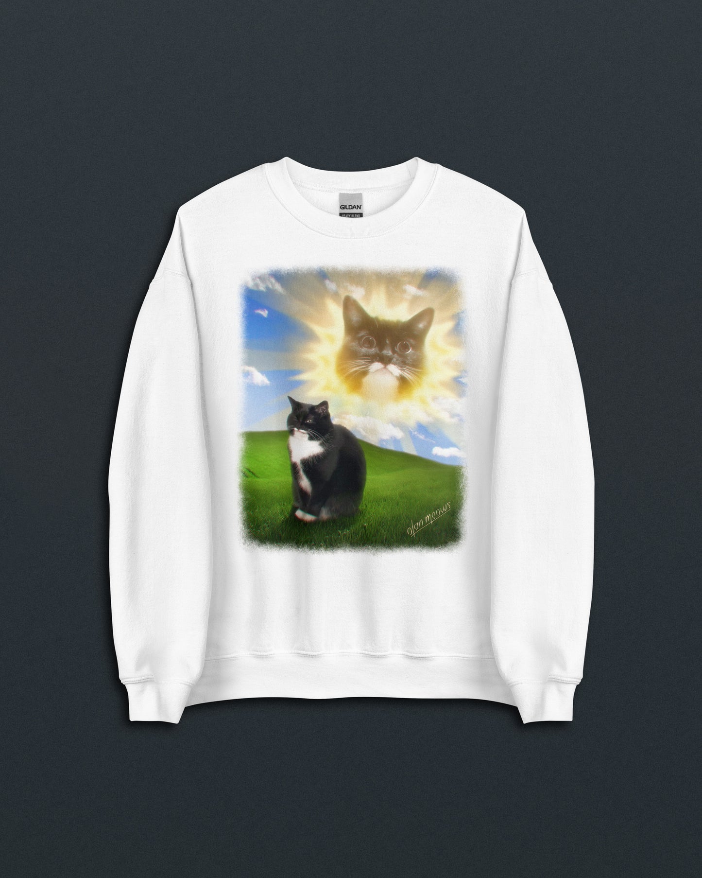 Jyn Vintage PC Crew Neck Sweatshirt