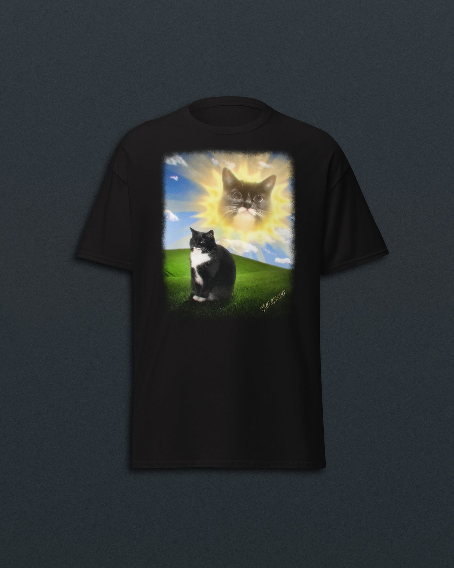 Jyn Vintage PC Tee