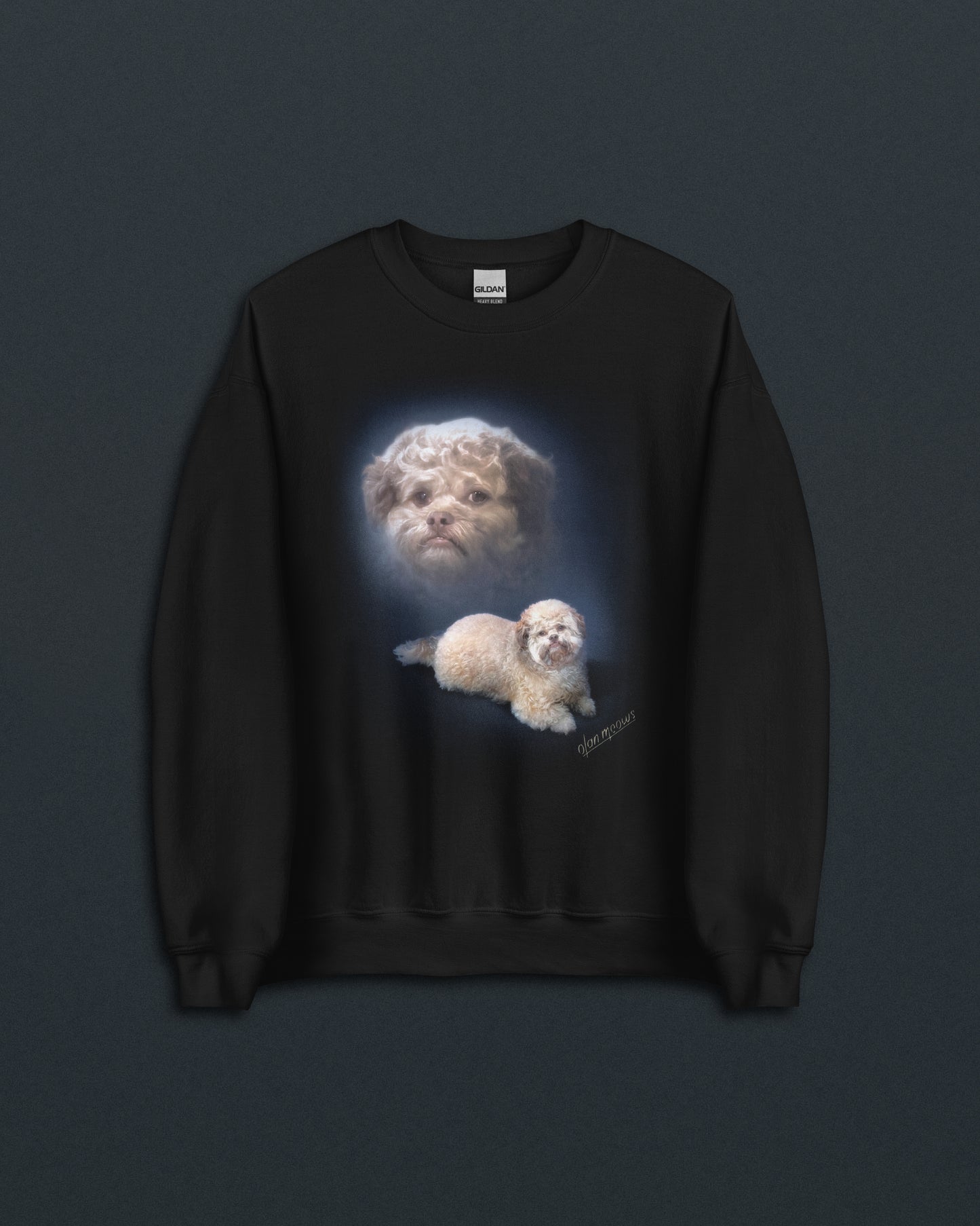 Lil' Max Crew Neck Sweatshirt
