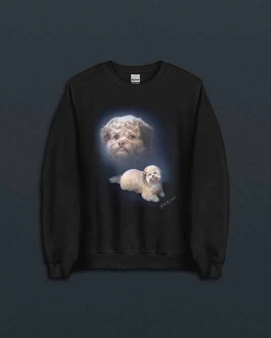 Lil' Max Crew Neck Sweatshirt
