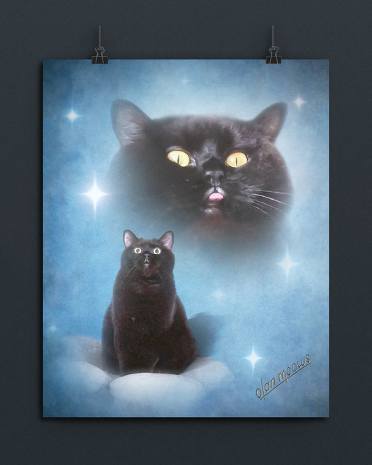 Salem Classic Blue Print