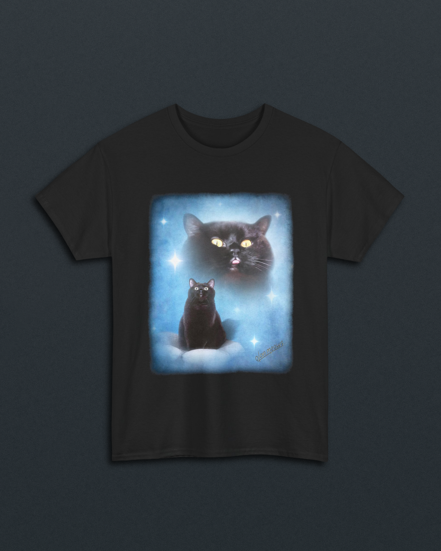 Salem Classic Blue Tee