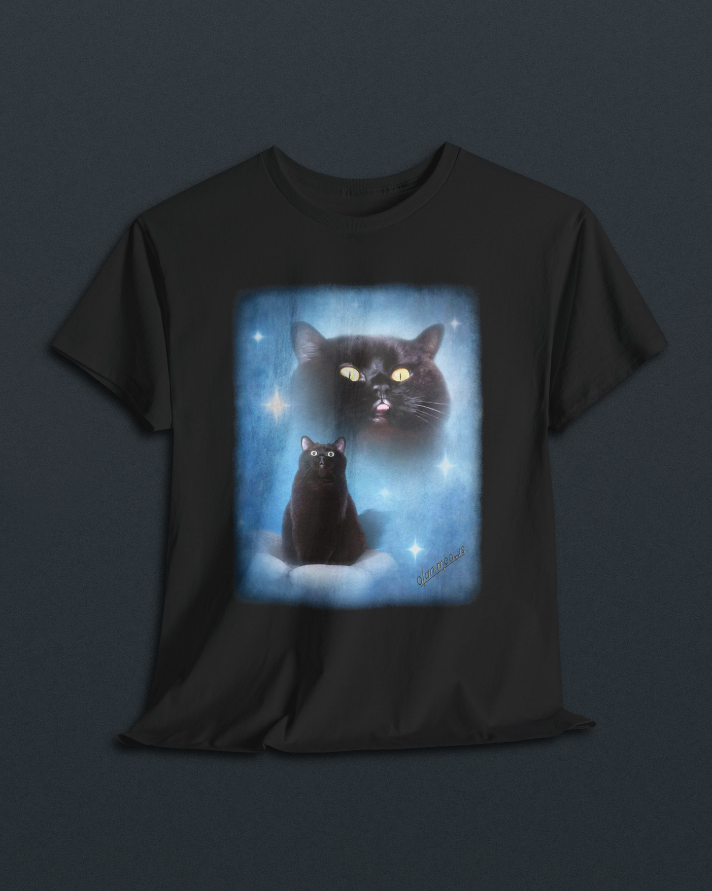 Salem Classic Blue Tee