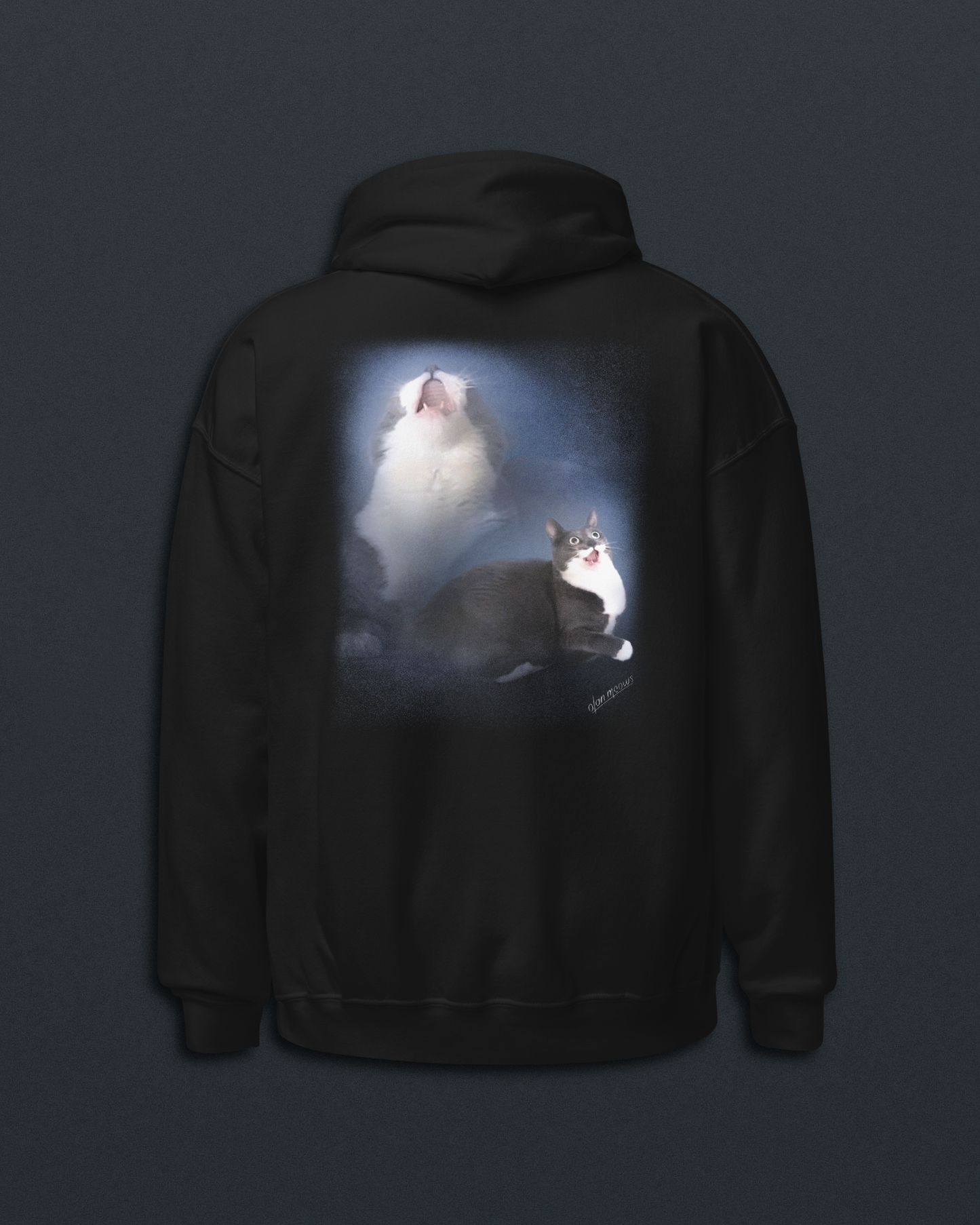 Squeaky Joe Navy Hoodie