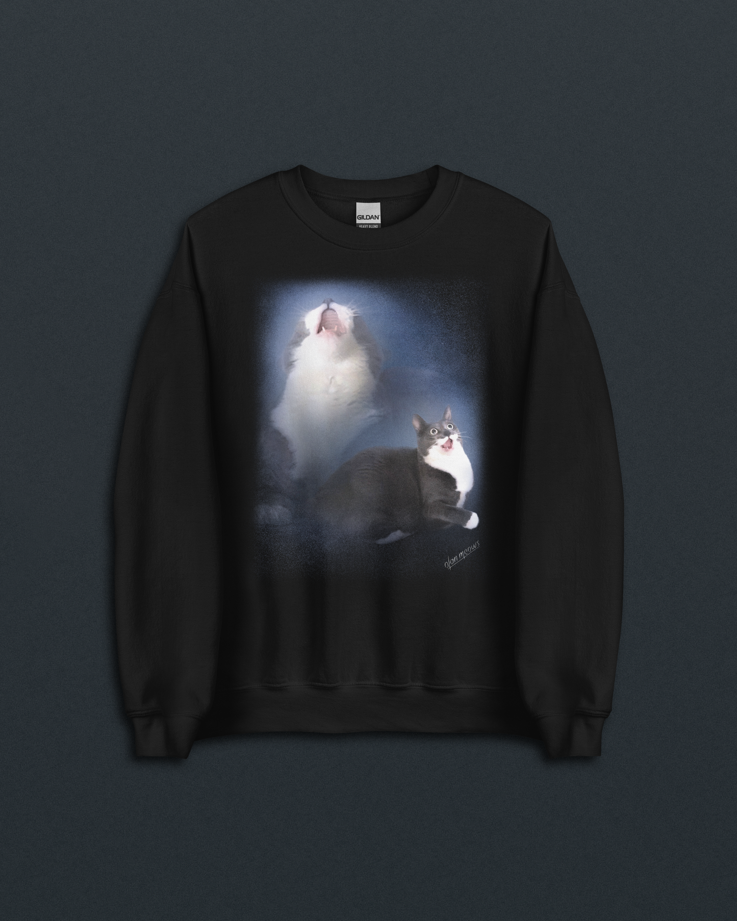Squeaky Joe Navy Crew Neck Sweatshirt