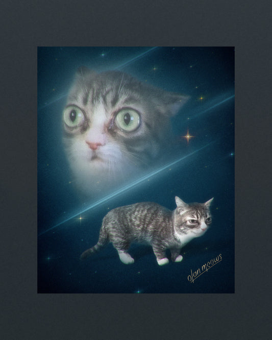 Stardust Portrait - Print