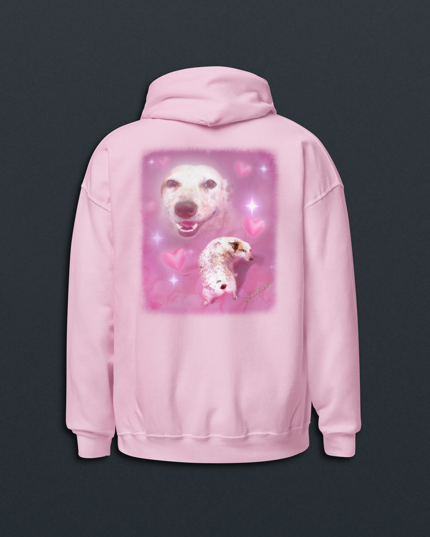 Sydney Hoodie