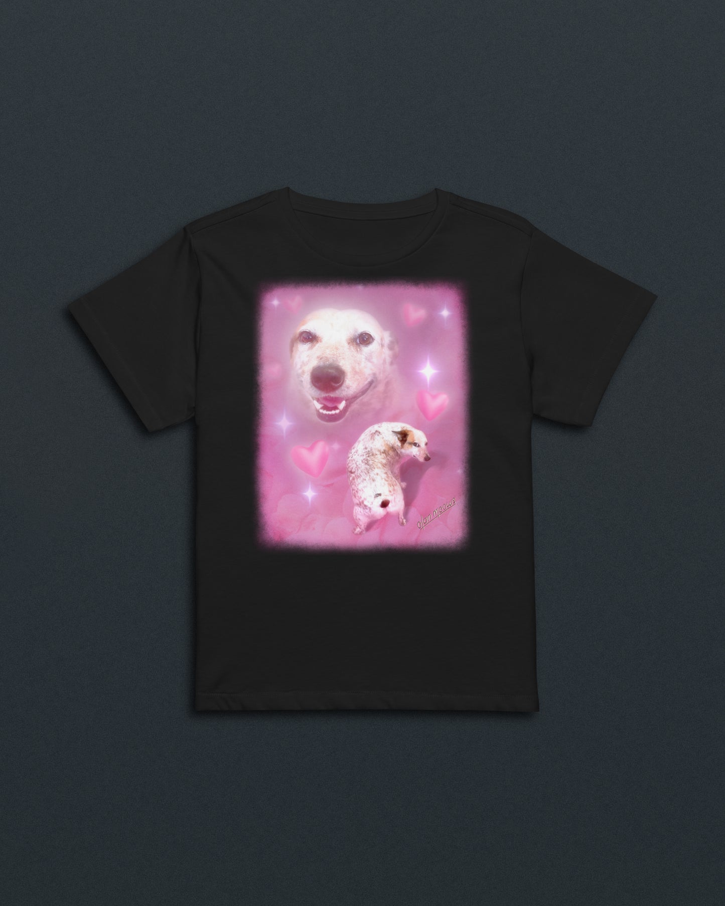 Sydney Women's Baby Tee