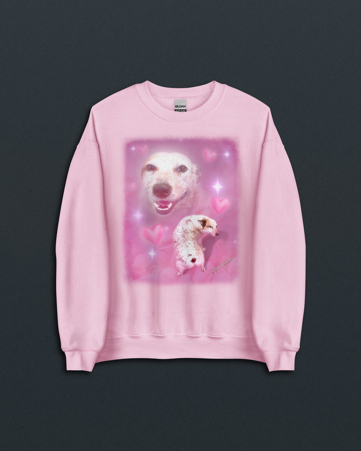 Sydney Crew Neck Sweatshirt