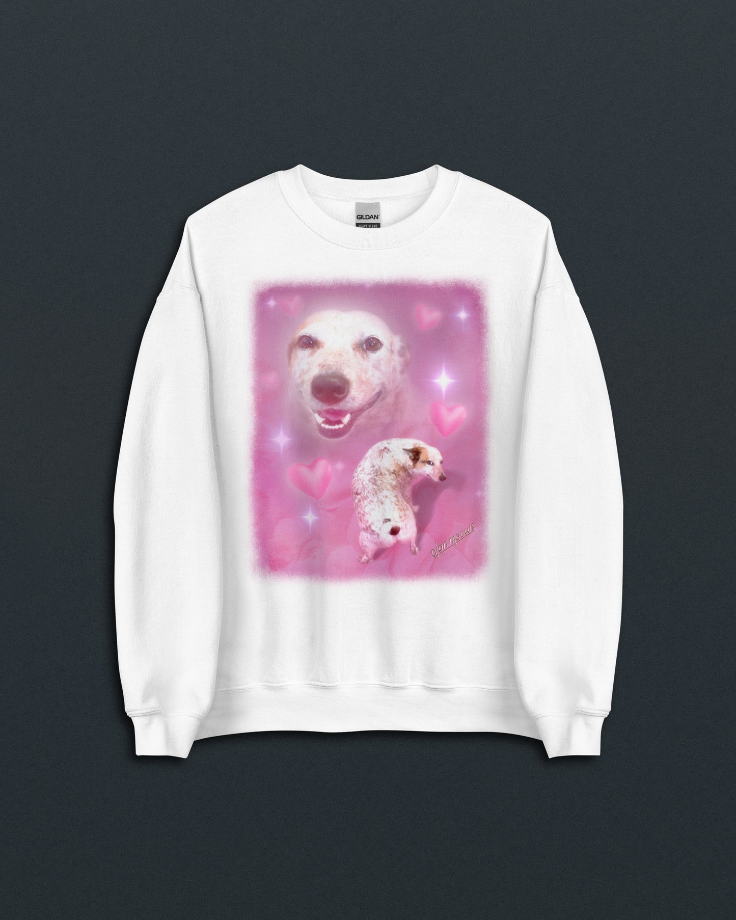 Sydney Crew Neck Sweatshirt