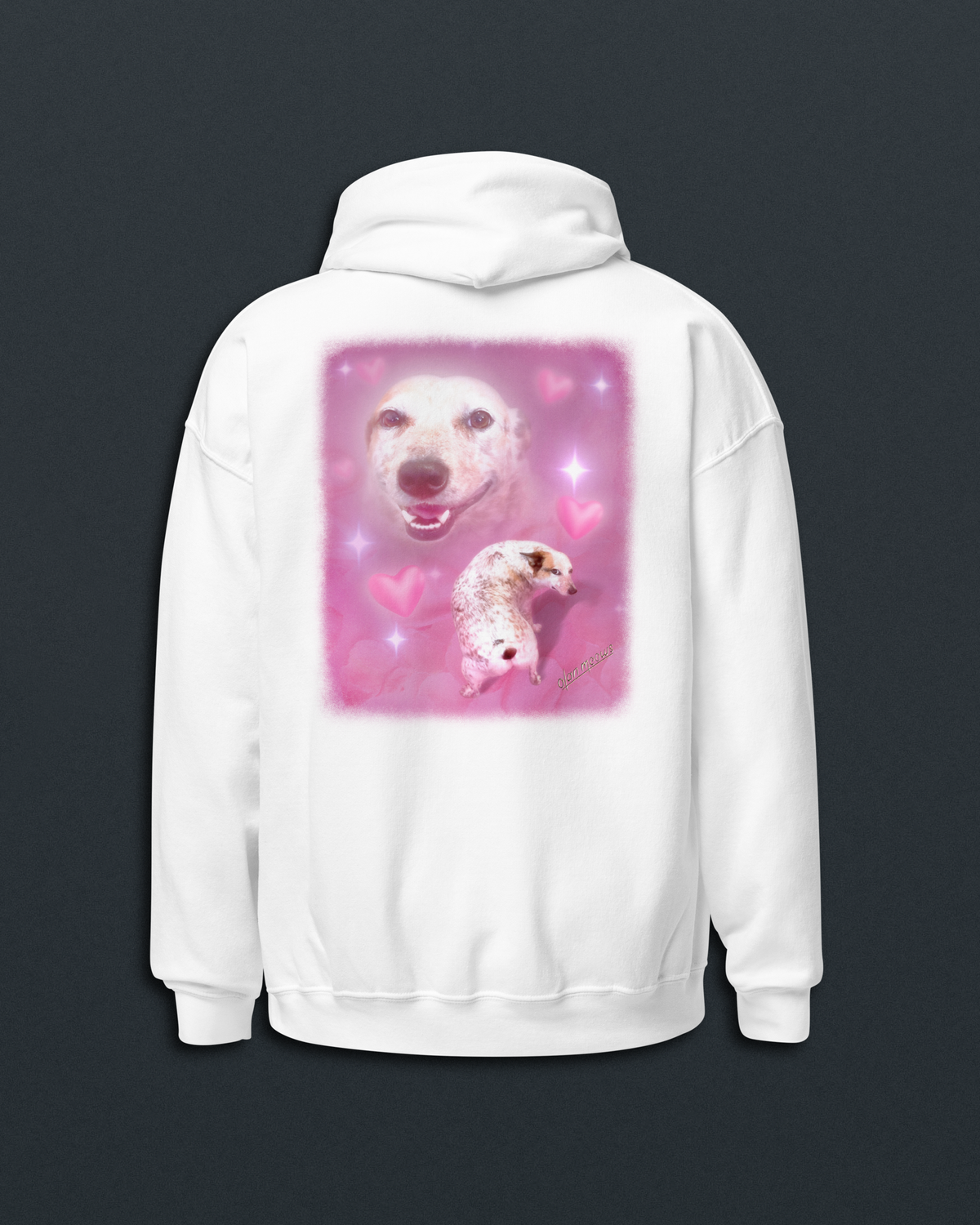 Sydney Hoodie
